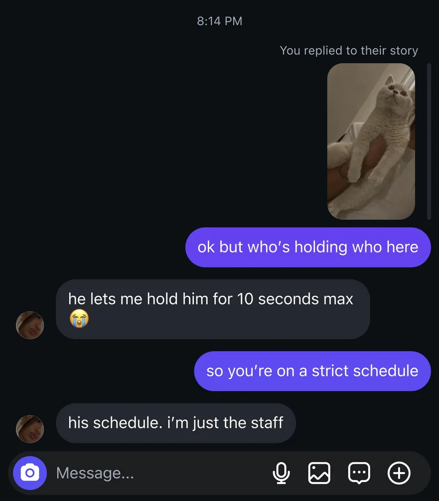 The screenshot: a made-up direct message chat. He replied to a story of a cat: 'ok but who's holding who here'. She answers 'he lets me hold him for 10 seconds max'. He sends 'so you're on a strict schedule', and she replies 'his schedule. i'm just the staff'.